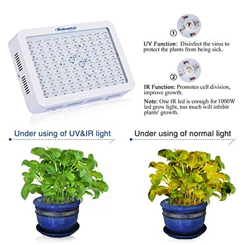 Galaxyhydro LED Grow Light 300W