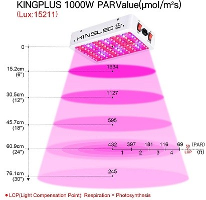 King Plus 1000W