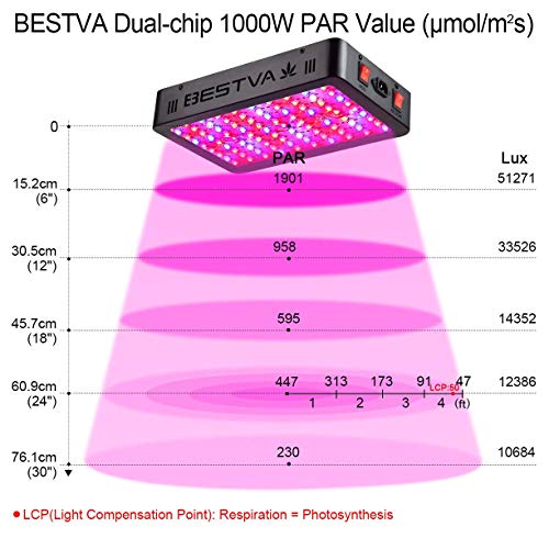 BESTVA 1000W