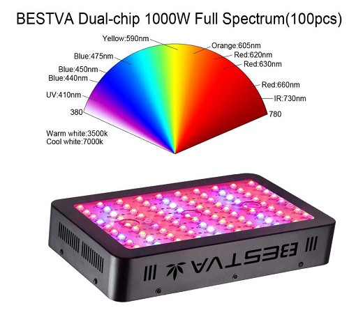 BESTVA 1000W Review