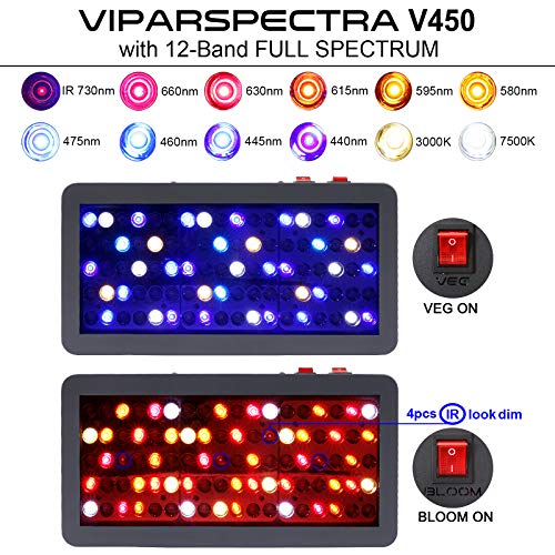 VIPARSPECTRA 450W Review