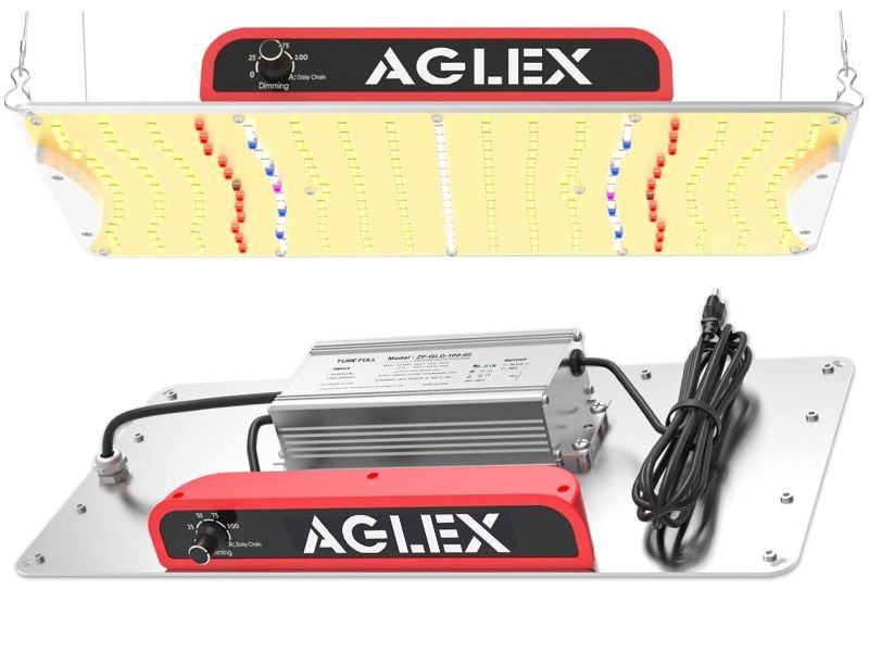 AGLEX K1000 Review